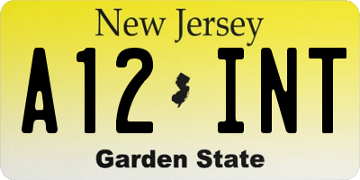 NJ license plate A12INT