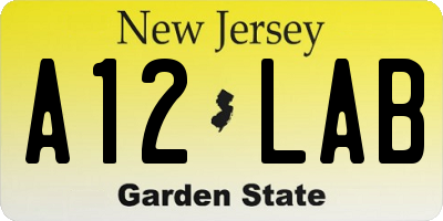 NJ license plate A12LAB