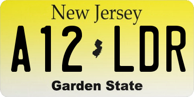 NJ license plate A12LDR