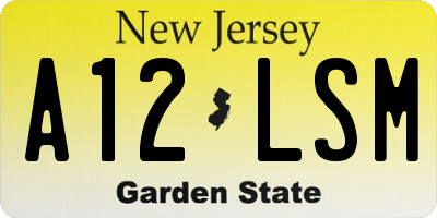 NJ license plate A12LSM
