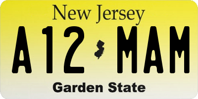 NJ license plate A12MAM