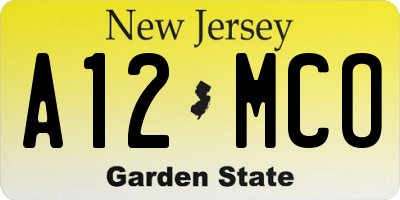 NJ license plate A12MCO