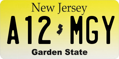 NJ license plate A12MGY