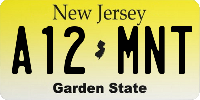 NJ license plate A12MNT