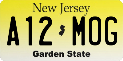 NJ license plate A12MOG
