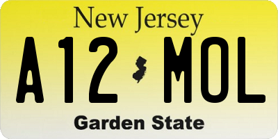 NJ license plate A12MOL