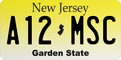 NJ license plate A12MSC