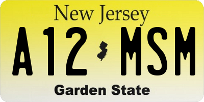 NJ license plate A12MSM