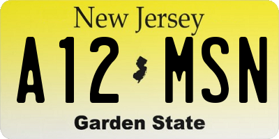 NJ license plate A12MSN