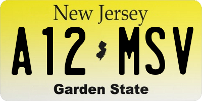NJ license plate A12MSV