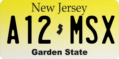 NJ license plate A12MSX
