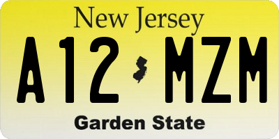 NJ license plate A12MZM