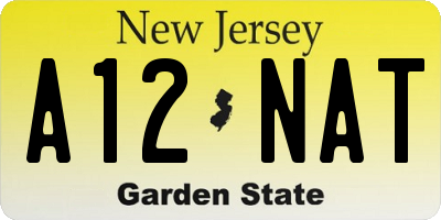 NJ license plate A12NAT