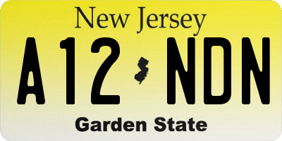 NJ license plate A12NDN