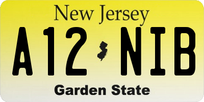 NJ license plate A12NIB