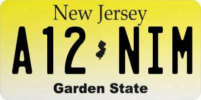 NJ license plate A12NIM