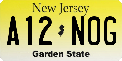 NJ license plate A12NOG
