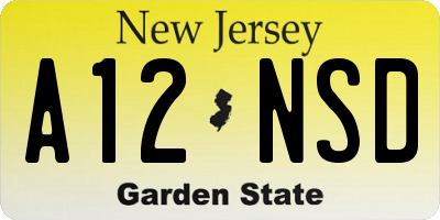 NJ license plate A12NSD