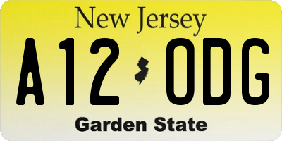 NJ license plate A12ODG