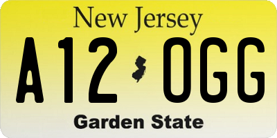 NJ license plate A12OGG