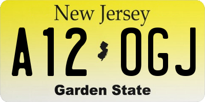 NJ license plate A12OGJ