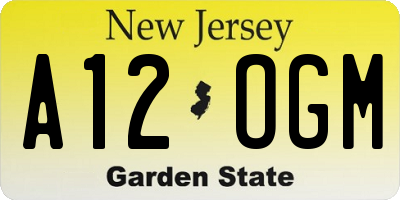 NJ license plate A12OGM