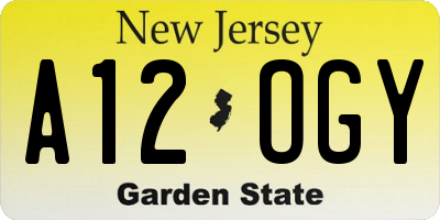 NJ license plate A12OGY