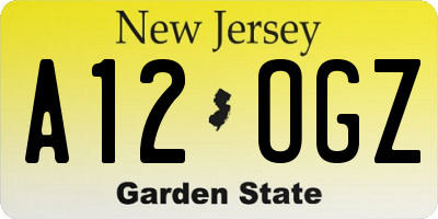 NJ license plate A12OGZ