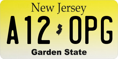NJ license plate A12OPG