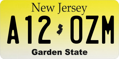 NJ license plate A12OZM