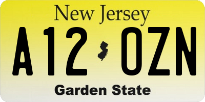 NJ license plate A12OZN