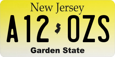 NJ license plate A12OZS