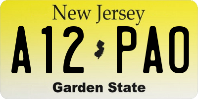 NJ license plate A12PAO