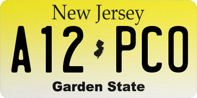 NJ license plate A12PCO