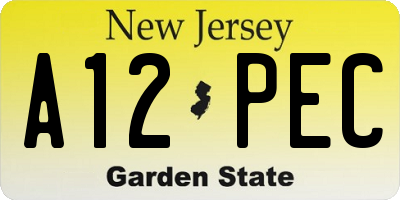 NJ license plate A12PEC