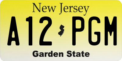 NJ license plate A12PGM