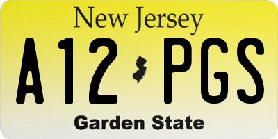 NJ license plate A12PGS