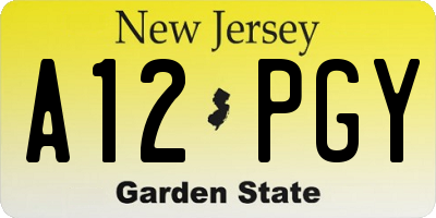 NJ license plate A12PGY