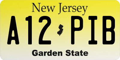 NJ license plate A12PIB