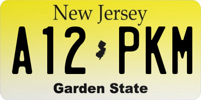 NJ license plate A12PKM