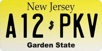 NJ license plate A12PKV