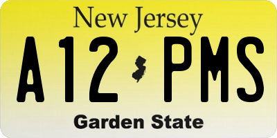 NJ license plate A12PMS