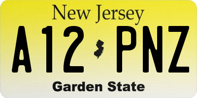 NJ license plate A12PNZ