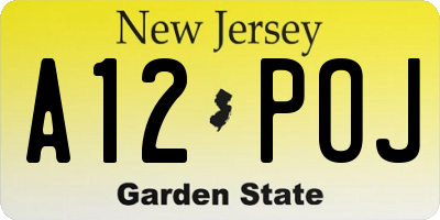 NJ license plate A12POJ