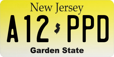 NJ license plate A12PPD
