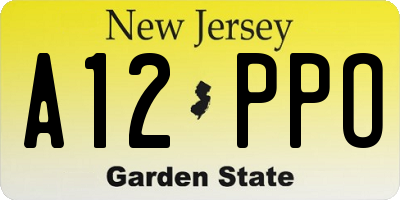 NJ license plate A12PPO