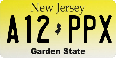 NJ license plate A12PPX