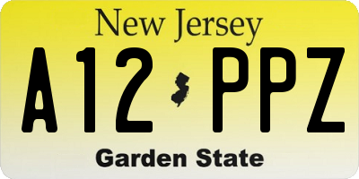 NJ license plate A12PPZ