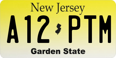 NJ license plate A12PTM