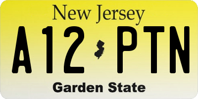 NJ license plate A12PTN